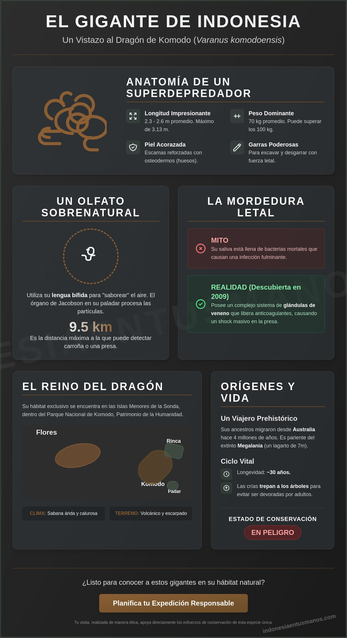 Dragones de Komodo: Guía completa sobre el mayor lagarto del planeta