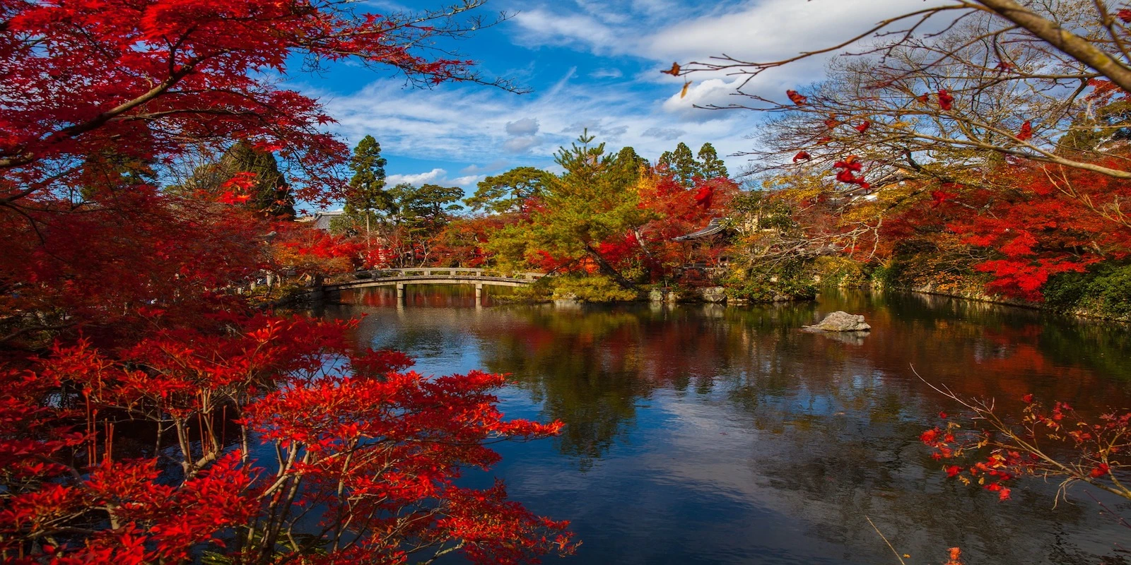 Japon, Bali y Maldivas